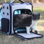 Sac de transport chat rectangulaire extensible gris et blanc avec un chat bicolore sortant