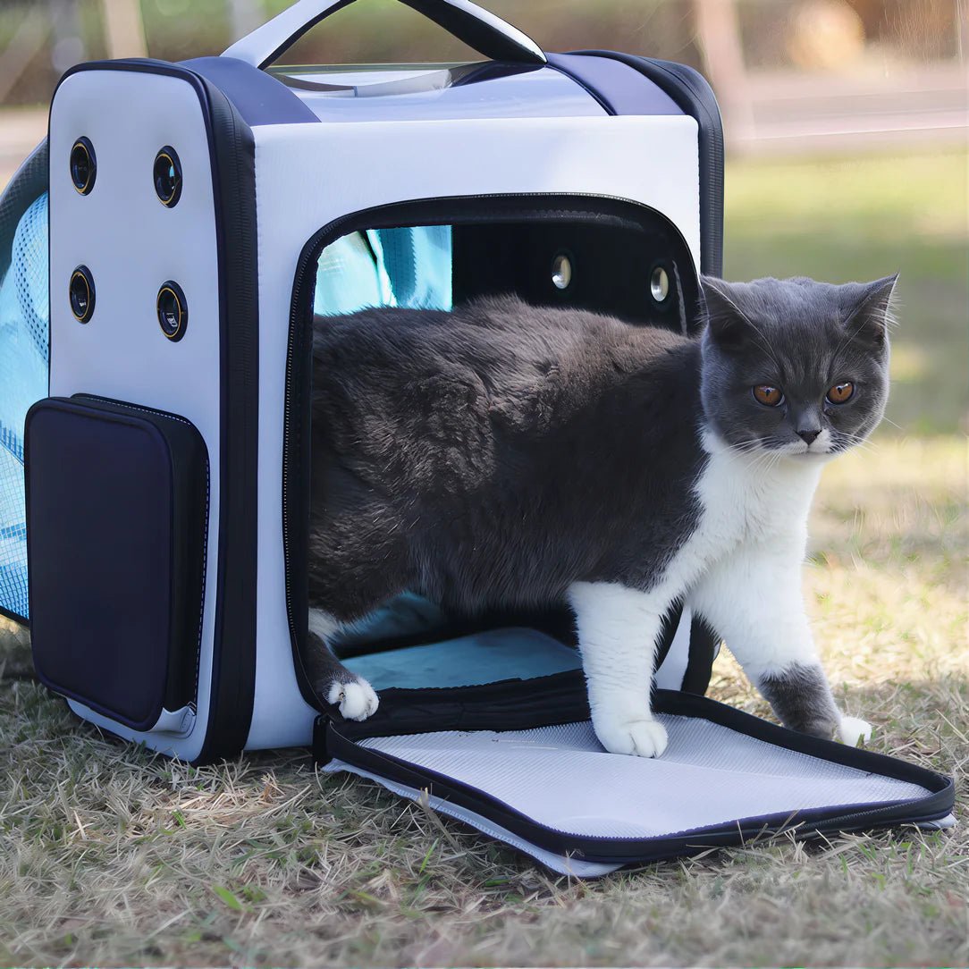 Sac de transport chat rectangulaire extensible gris et blanc avec un chat bicolore sortant