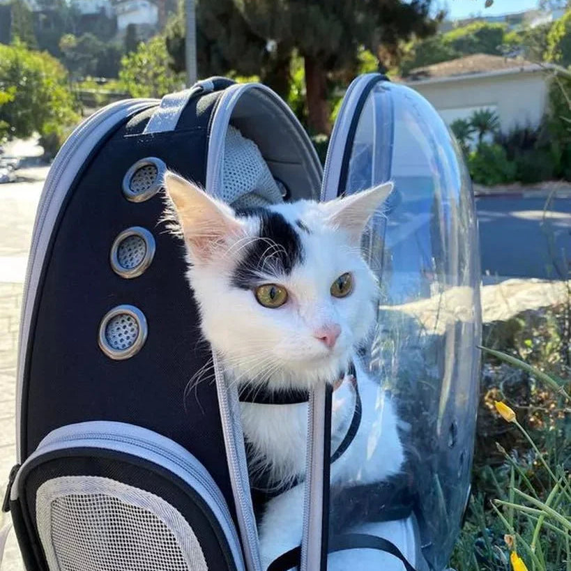 Sac à dos transport chat