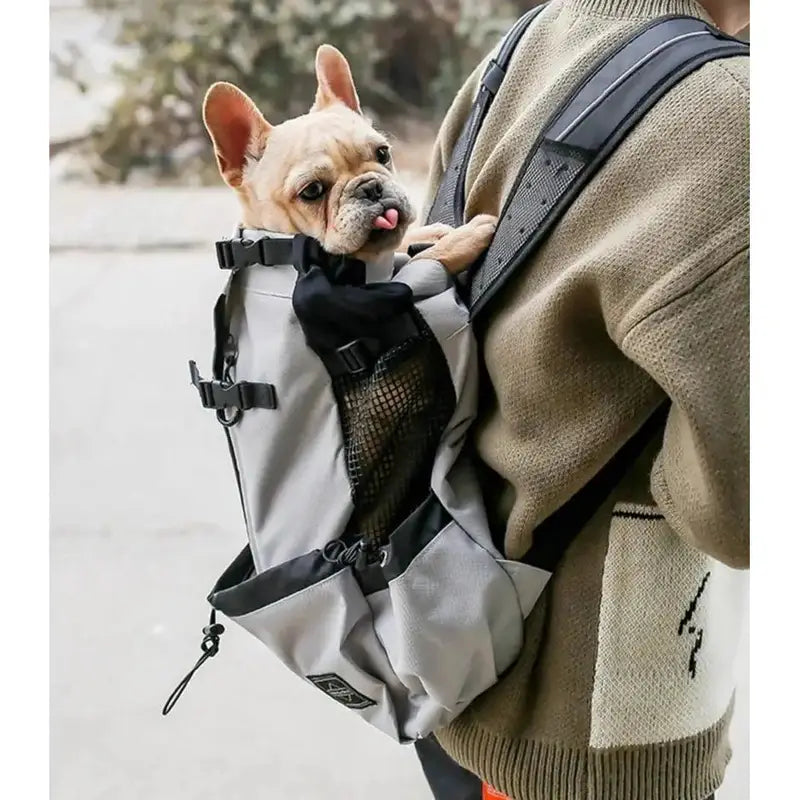 sac à dos transport chien 20kg chic