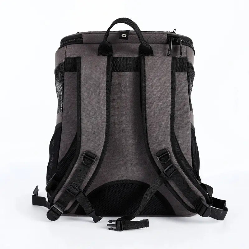 sac à dos à chat design
