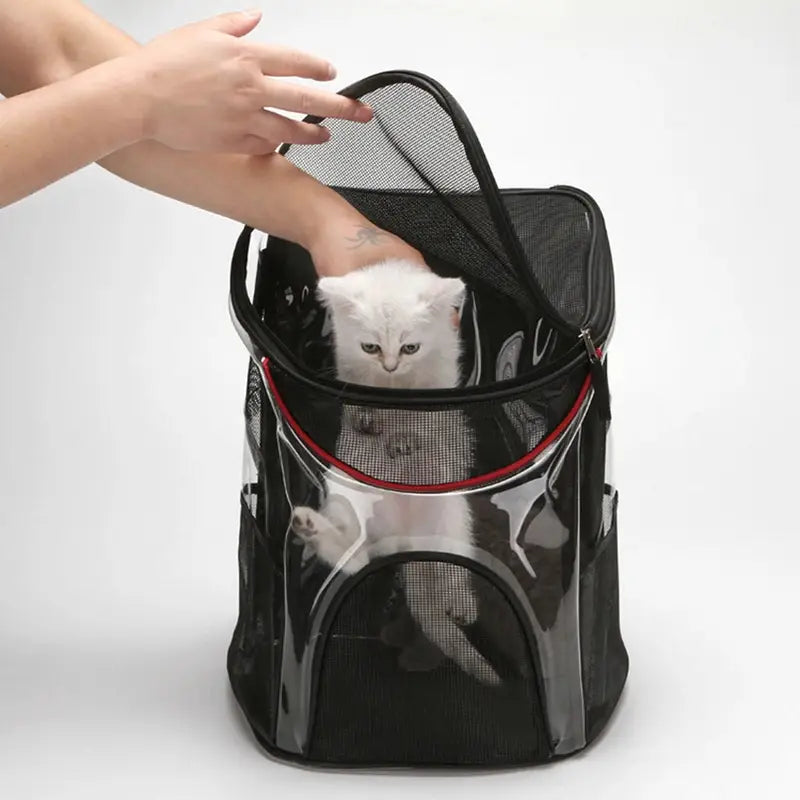 sac à dos chat transparent respirant