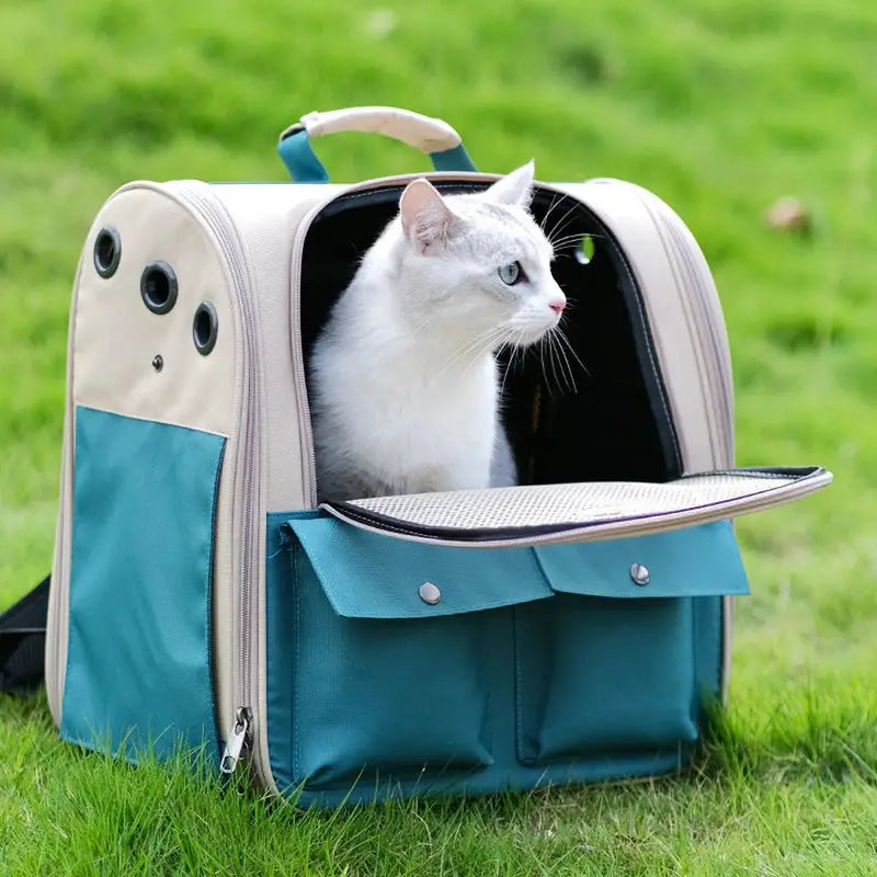 sac de transport pour chat 10kg bleu