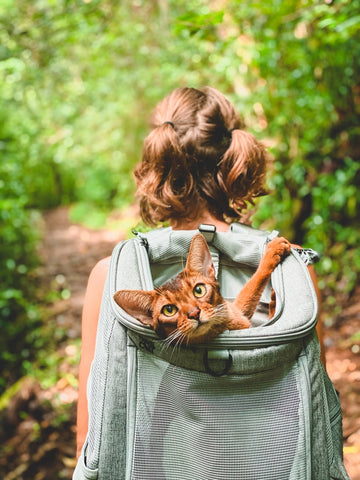sac à dos voyage chat