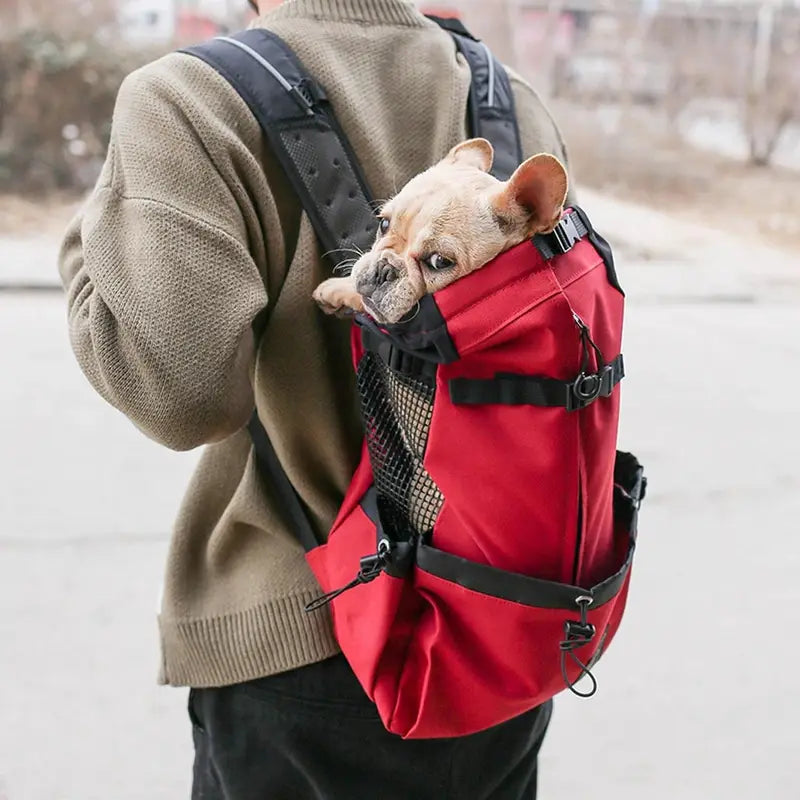 sac à dos transport chien 20kg élégant