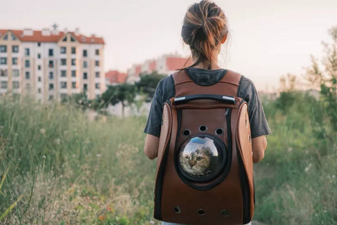 Sac à dos chat