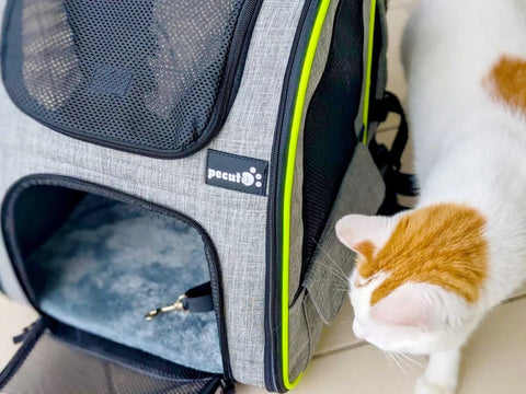 Sac à dos chat harnais