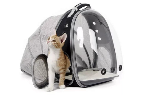 sac à dos chat transparent