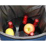 Sac à dos picnic isotherme avec sac isotherme, boissons et fruits pour l’extérieur