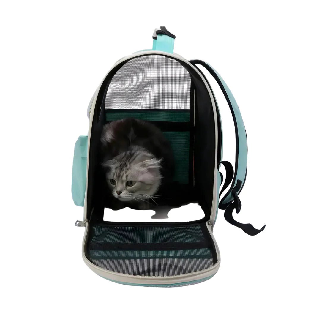 Sac à dos porte chat - Hello Cat