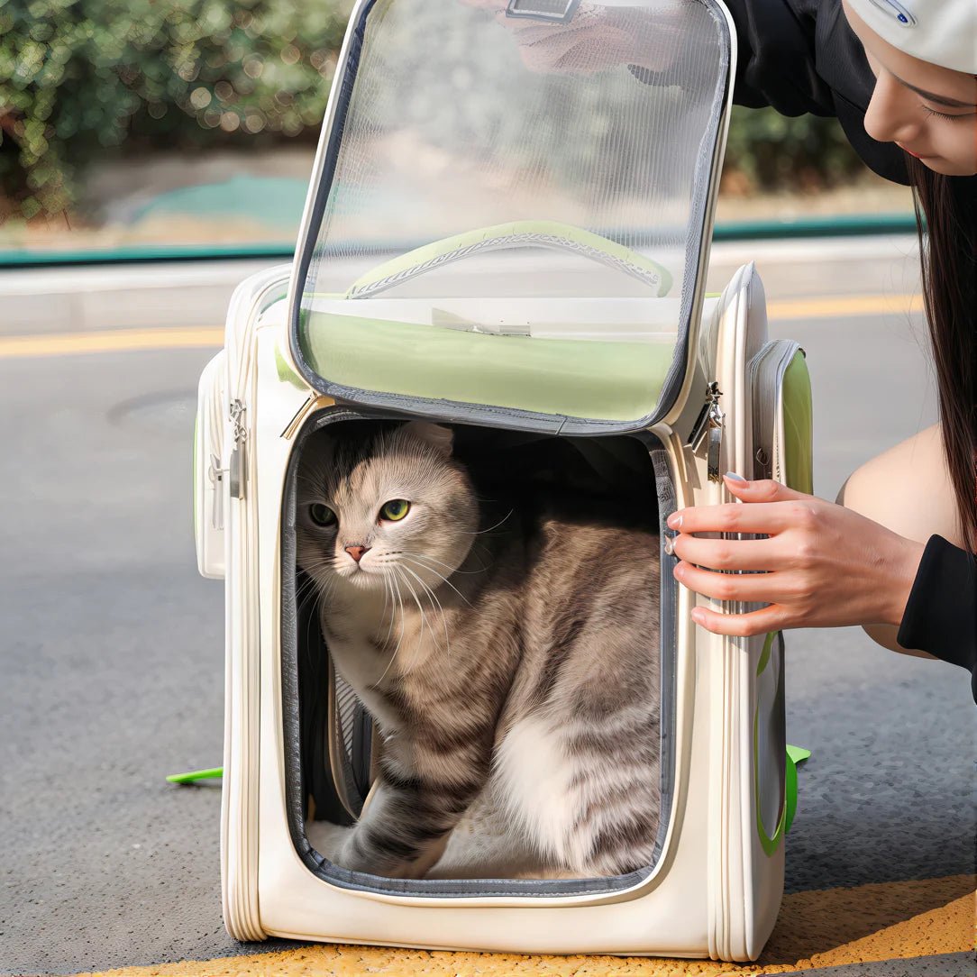 Sac à dos pour chat portable ventilé - MrKing