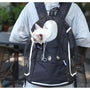 Sac à dos pour chien noir avec un chat qui regarde dehors, idéal pour transporter votre animal