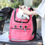 Sac à dos pour chien rose avec un chat à l’intérieur, parfait pour transporter votre animal