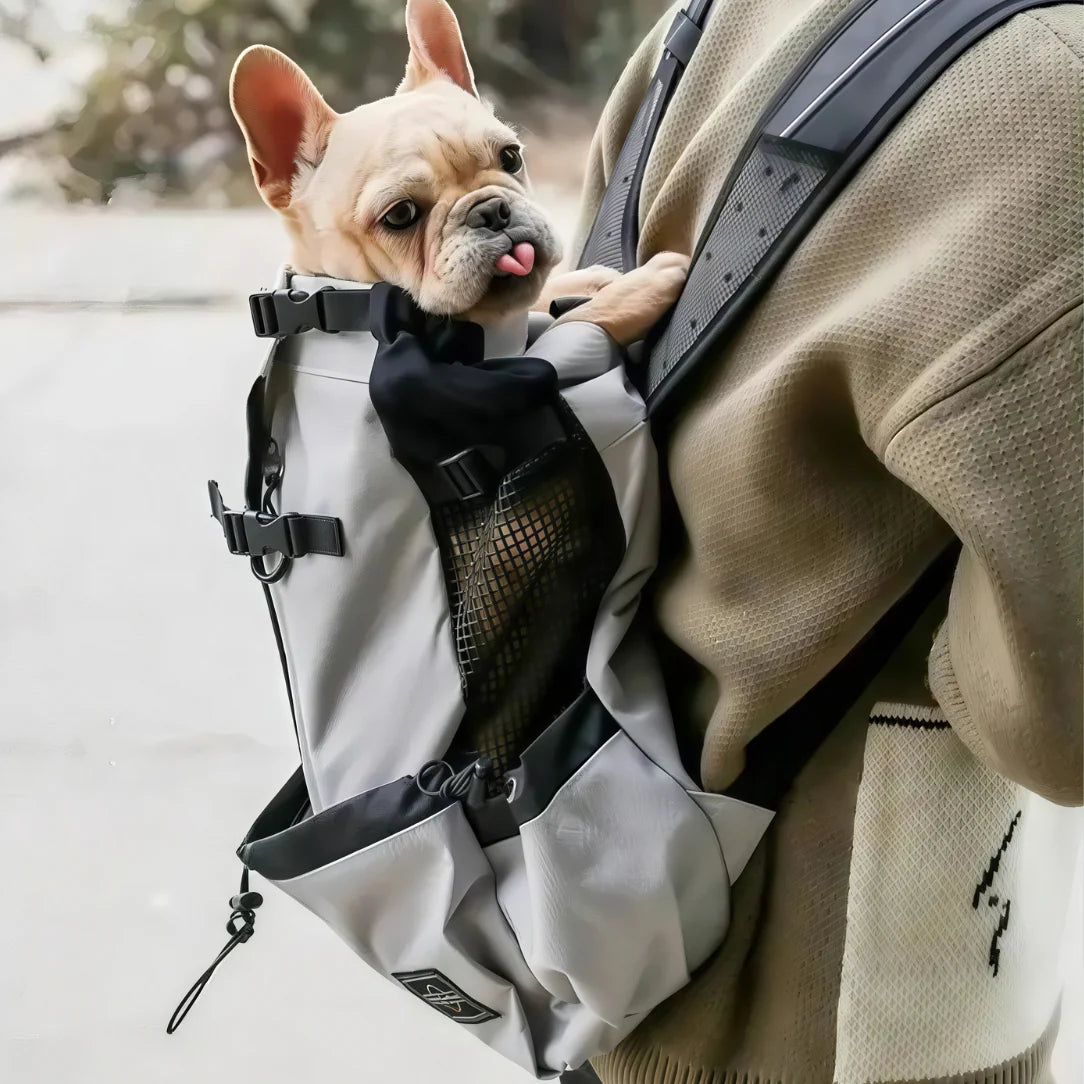 Sac à dos transport chien 20kg 8 sac