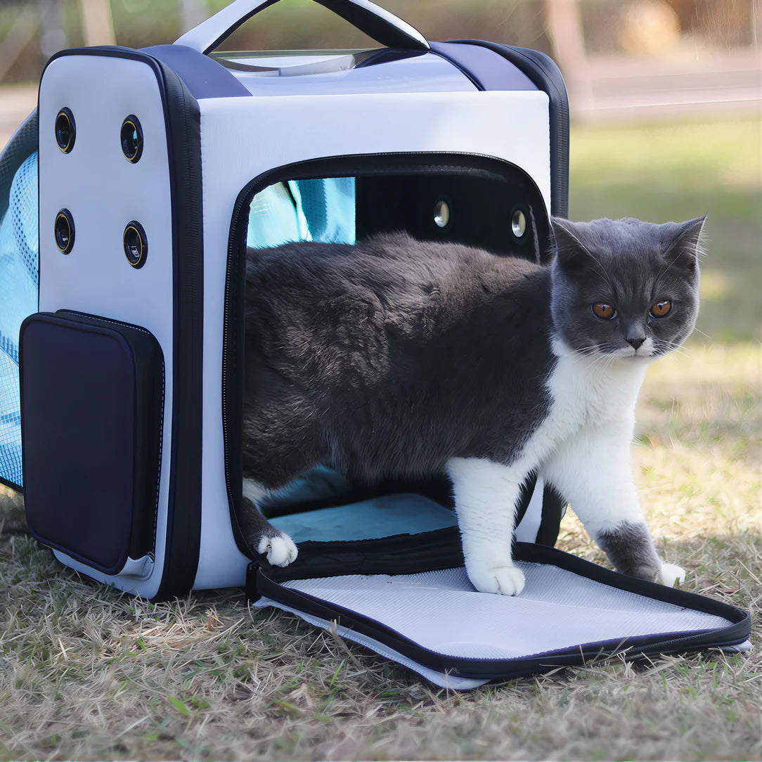 Sac de transport chat rectangulaire extensible - Breezy