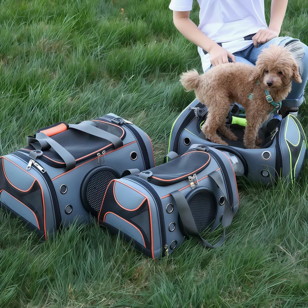Sac hublot à bandoulière pour chat & chien