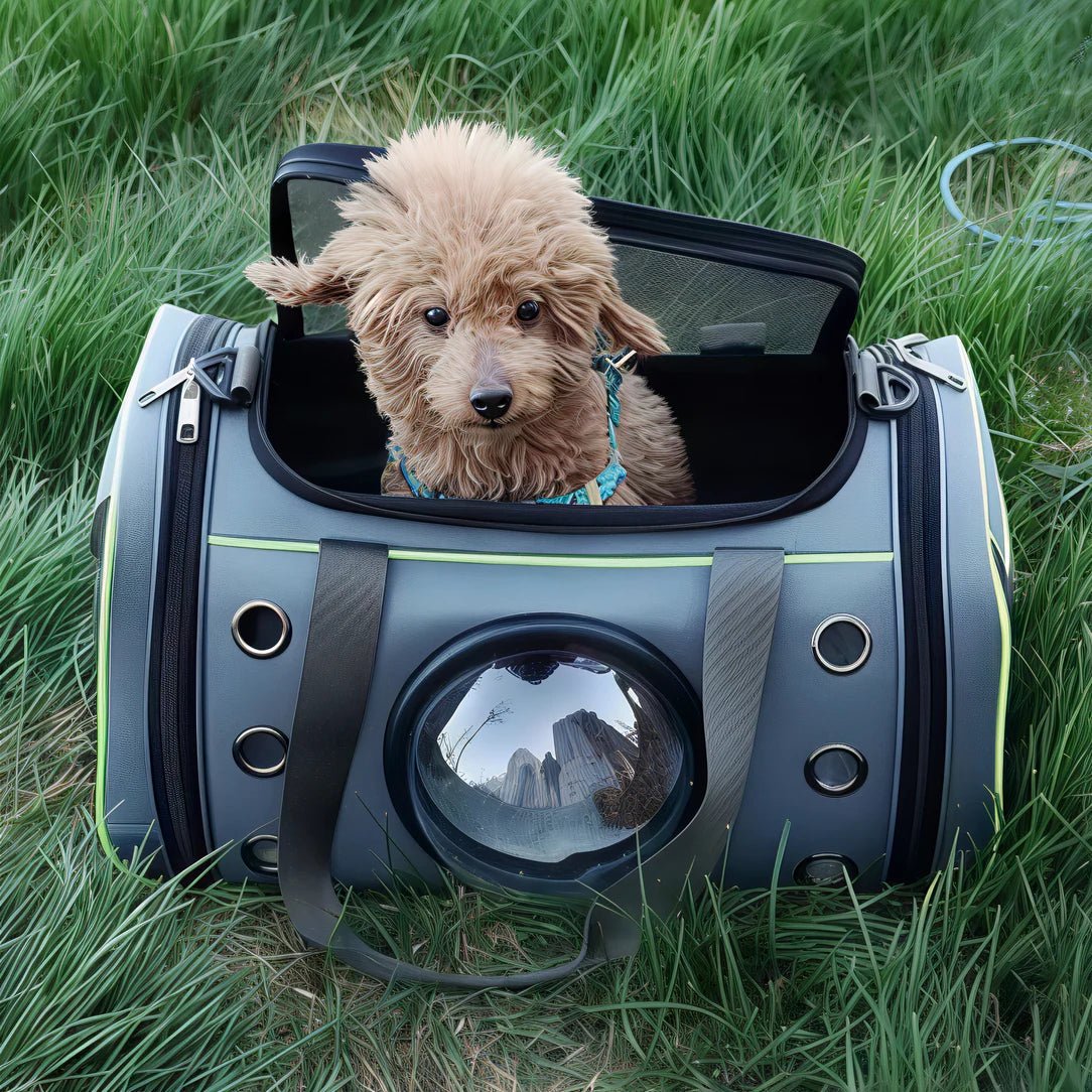 Sac hublot à bandoulière pour chat & chien