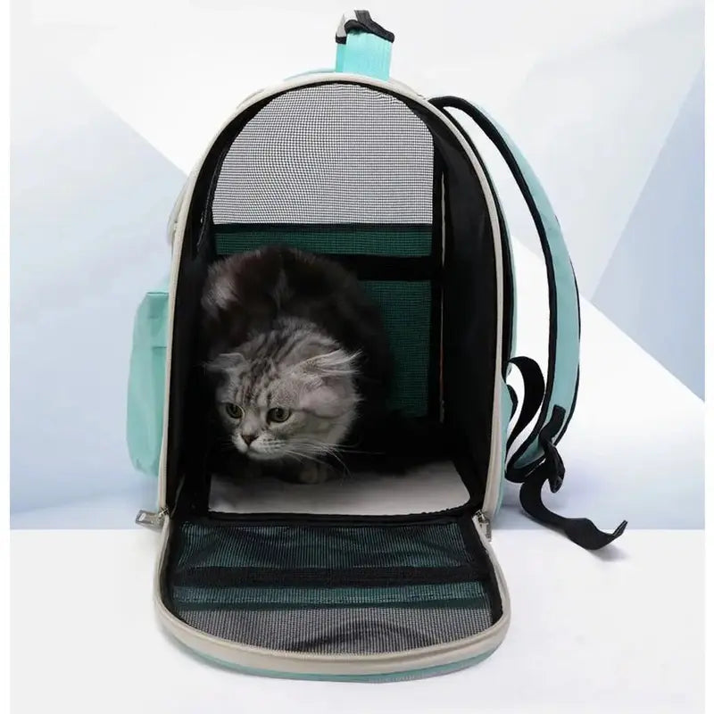 sac à dos porte chat spacieux