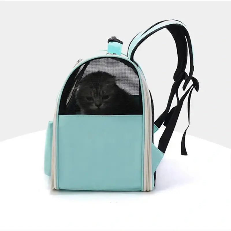 sac à dos porte chat élégant