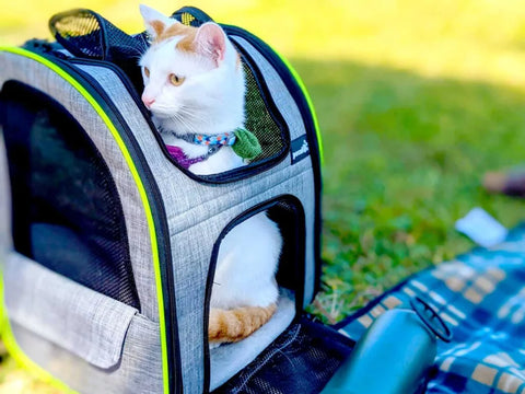 Sac à dos de transport pour chat