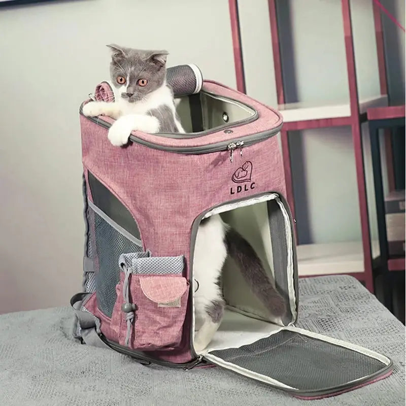 sac à dos pour chat design
